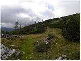 Planina Zajavornik - Viševnik